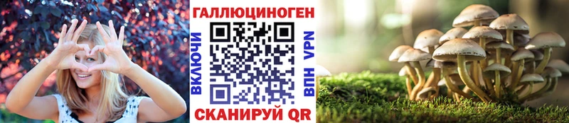 Псилоцибиновые грибы мицелий  Гвардейск 