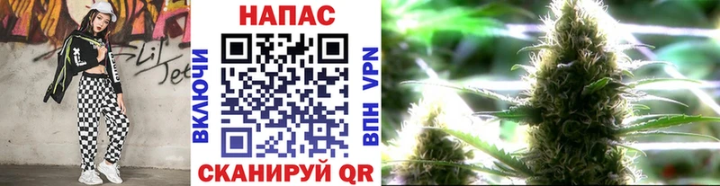 купить   гидра рабочий сайт  Шишки марихуана OG Kush  Гвардейск 